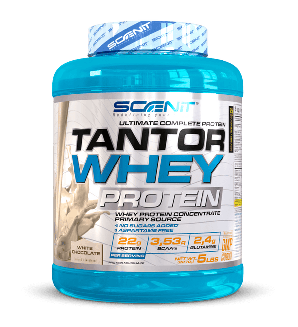 تانتور وی اسکاینت