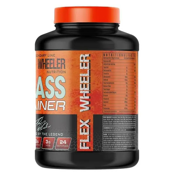 مس گینر حرفه ای فلکس ویلر ۳ کیلو